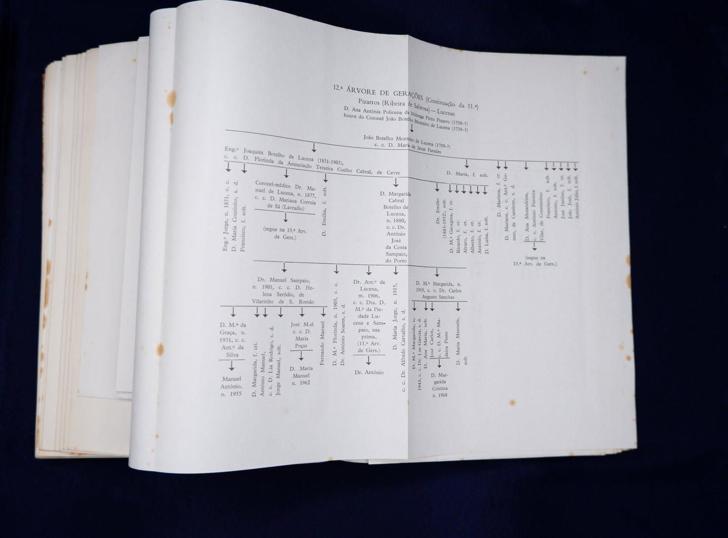 AS01LT34 – Machado, José Timóteo Montalvão – DOS PIZARROS DE ESPANHA AOS DE PORTUGAL E BRASIL. HISTÓRIA E GENEALOGIA. Lisboa. s. n. [Edição de autor?] 1970