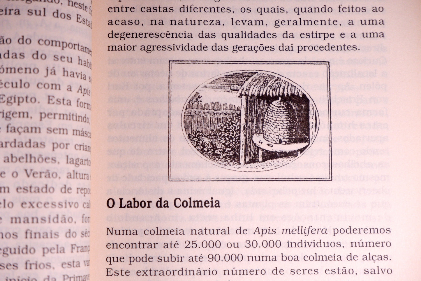 AS17LT32 – Cruz, Marques da – EM NOME DO MEL: HISTÓRIA, GASTRONOMIA E SAÚDE. Sintra. Colares Editora. s.d. [1997]