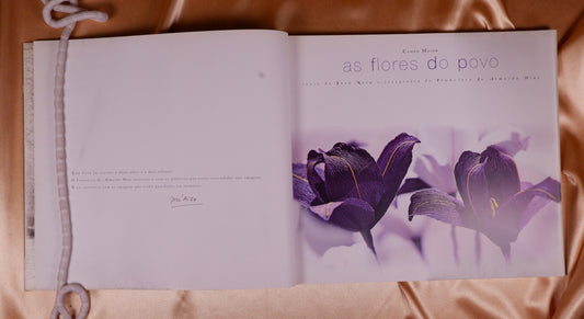 AS18LT56 – Niza, José & Dias, Francisco de Almeida – CAMPO MAIOR: AS FLORES DO POVO. Lisboa. Editora. 2004