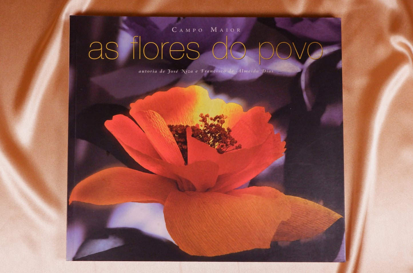 AS18LT56 – Niza, José & Dias, Francisco de Almeida – CAMPO MAIOR: AS FLORES DO POVO. Lisboa. Editora. 2004